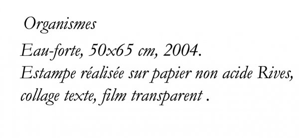 Organismes